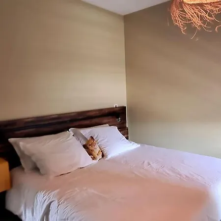 Appartement Au Coeur De Vecchio, Wi-fi